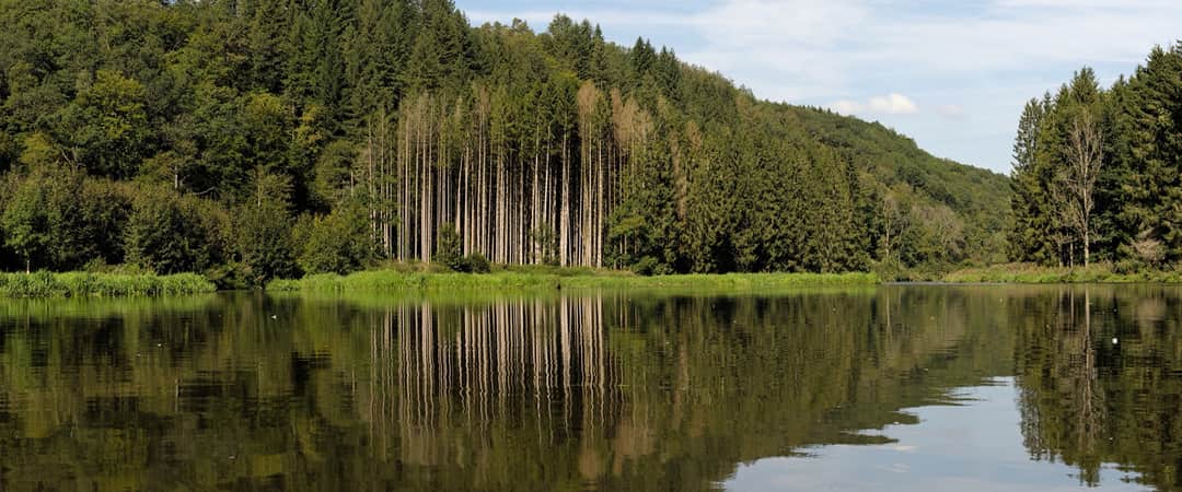 Kronkelende rivier door groene vallei in de Semoisvallei