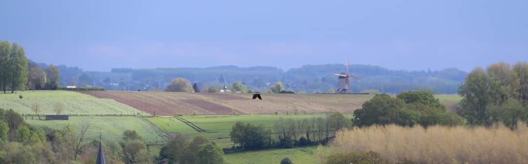 Glooiende heuvels en groene weiden in de Vlaamse Ardennen